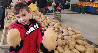 Sarıgöl pazarında dev patatesler ilgi odağı oldu