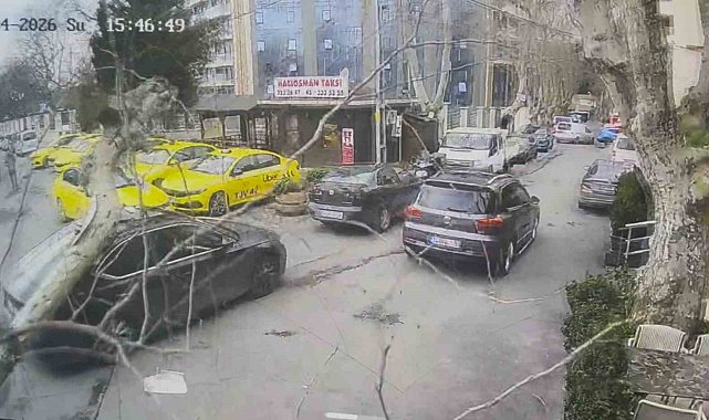 Sarıyer'de çınar ağacı otomobilin üzerine devrildi: O anlar kamerada