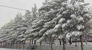 Sason'da yoğun kar yağışı hayatı olumsuz etkiliyor