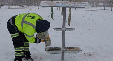 Şehitkamil sokak hayvanlarını unutmadı