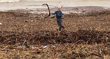 Sel sonrası deniz kahverengi oldu, sahiller odun doldu