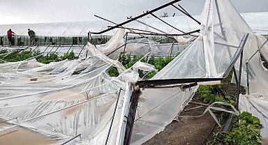 Seydikemer'de hortumun vurduğu seralarda hasar tespit çalışmaları başladı
