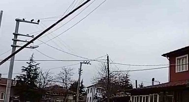Seyitgazi'de dev bayrak direği elektrik tellerinin üzerine devrildi