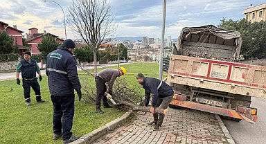 Şiddetli lodosun devirdiği ağaçlara anında müdahale