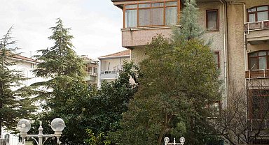 Şiddetli rüzgar hayatı olumsuz etkiledi, bazı ağaçlar devrildi