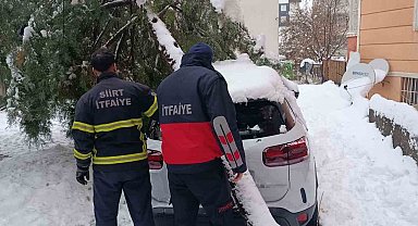 Siirt'te karın ağırlığına dayanamayan çam ağacı otomobilin üzerine devrildi