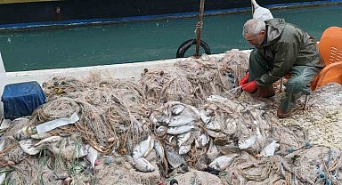 Silifke'de balık çiftliğinin ağı yırtıldı, kıyılar balıkla doldu