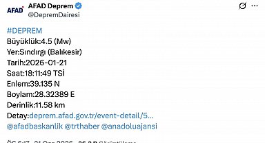 Sındırgı'daki 4.5'lik deprem Bursa'da da hissedildi