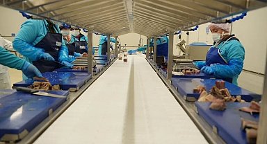 Sinop 2025'te ihracatta vites yükseltti
