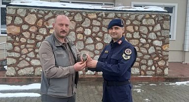 Sinop'ta jandarma ekipleri yaralı kuşa umut oldu