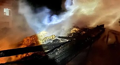 Sinop'ta samanlık yangını