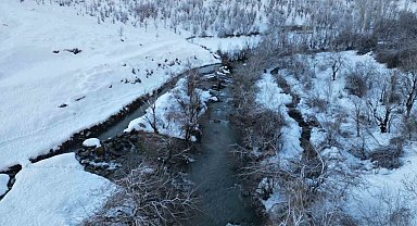 Şırnak'ta dereler buz tuttu