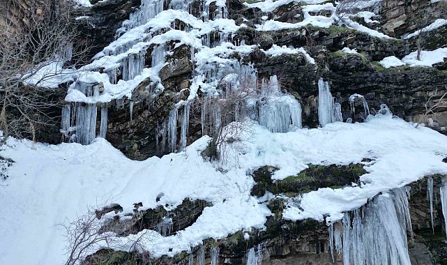 Şırnak'ta etkili olan karla 'Kanlıdere' beyaza büründü