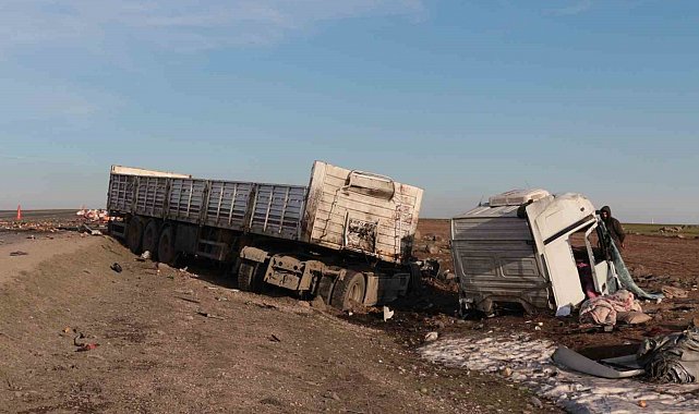 Şırnak'ta iki tır çarpıştı: 2 yaralı