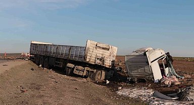 Şırnak'ta iki tır çarpıştı: 2 yaralı