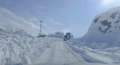 Şırnak'ta karlı yollar tek tek açılıyor