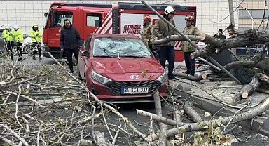 Şişli'de ağaç, park halindeki aracın üzerine devrildi