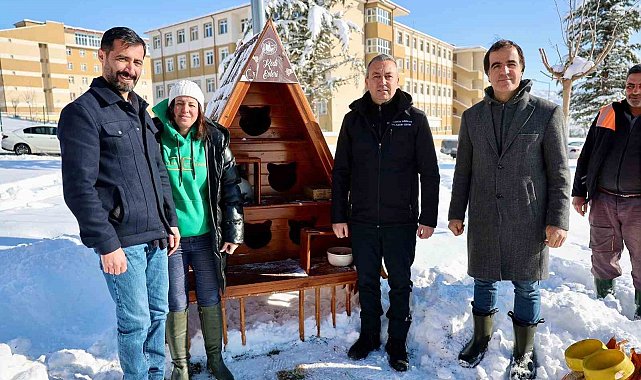 Sivas Belediyesi sokak hayvanlarını unutmadı