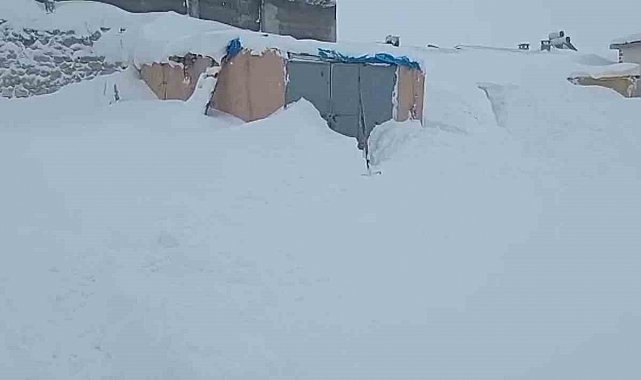 Sivas'ta 3 metre kar yağdı, hayvanlarının bulunduğu ahırın kapısını bulamadı