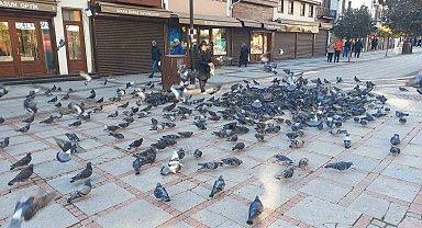 Soğukta üşüyen kuşlar için 5 kilometrelik şefkat yolculuğu