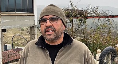 Sokak köpekleri, sahipli köpeği parçaladı