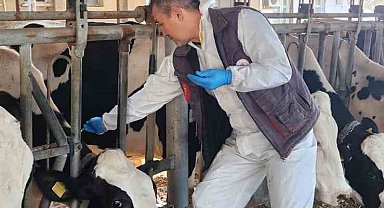 Söke TAYEM'de tüberküloz ve brucella taraması yapıldı