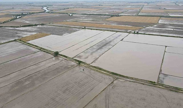 Söke'nin 2026 yılı ürün deseni belli oldu