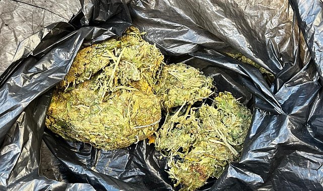 Şüpheli araçtan 50 gram esrar çıktı