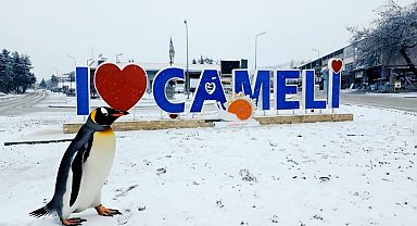 Sürüden ayrılan nihilist penguen Çameli'ye uğradı