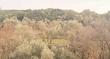 Tarlada aniden fenalaşan bir kişi hayatını kaybetti