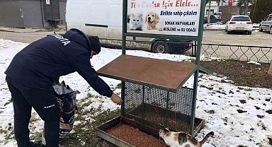 Taşköprü Belediyesi sokak hayvanlarını unutmuyor