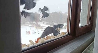 Tatvan'da yürekleri ısıtan davranış