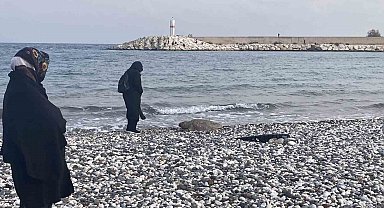 Telef olan caretta caretta halk plajına vurdu