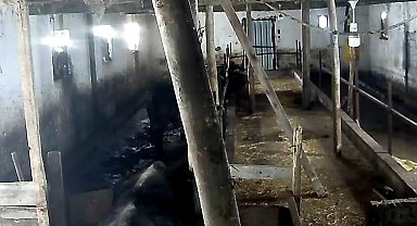 Tokat'ta ahırın çatısı çöktü