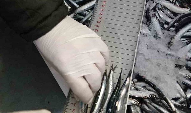 Trabzon'da 2025 yılında su ürünleri denetimlerinde 43 kişiye 3,2 milyon TL para cezası