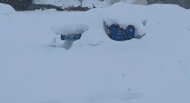 Tunceli'de kar yüküne dayanamayan iş yerinin çatısı çöktü