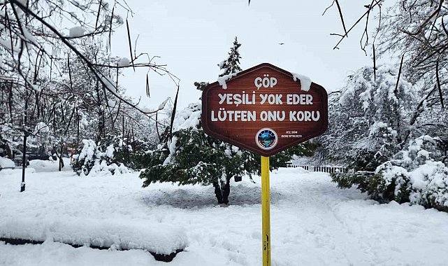 Tunceli'de yoğun kar yağışı etkili oldu