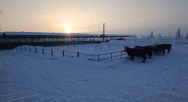 Türkiye'nin en büyük hayvan pazarı ağır kış şartları nedeniyle kapatıldı