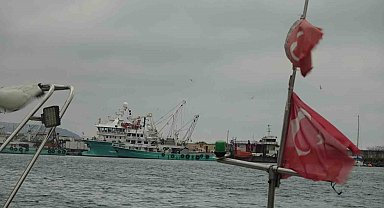 Türkiye'yi terk eden hamsinin yolu gözleniyor