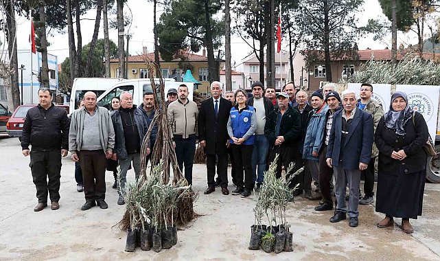 Ula'da üreticiye zeytin ve ceviz fidanı desteği