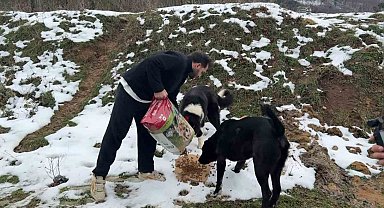 Uludağ'da aç kalan köpeklerin imdadına hayvanseverler yetişti