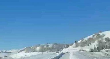 UMKE ekiplerinin hasta yolculuğuna kurt eşlik etti