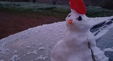 Urla'da kar yağışı etkili oldu