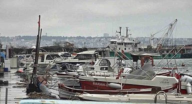 Uyanık lüfer Karadeniz zekasını kullandı: Denizlerde bol ama ağlara girmiyor