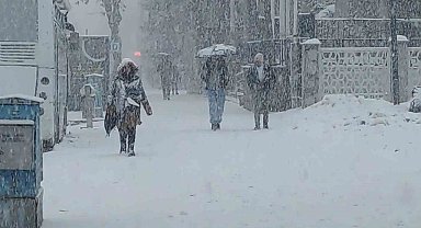 Van'da lapa lapa kar yağdı: 405 yerleşim yerinin yolu kapalı