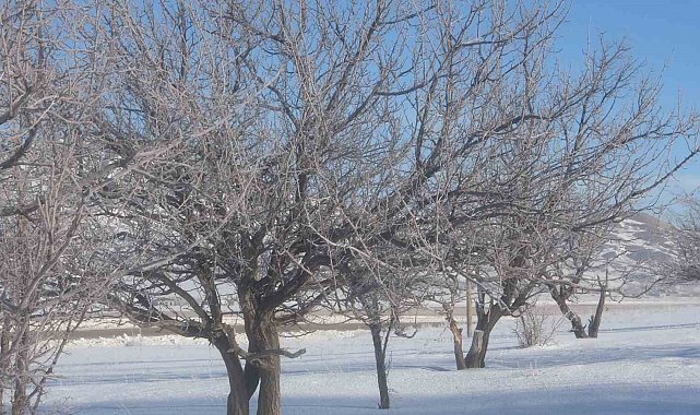 Van'da Sibirya soğukları hayatı olumsuz etkiliyor