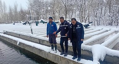 Van'da zorlu kış şartlarında alabalık üretimi mercek altında