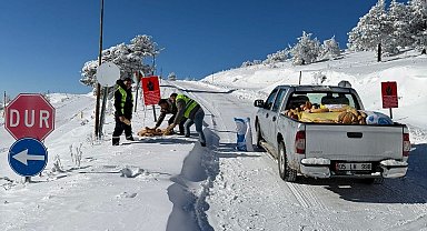Yaban hayvanları için ormana yem bıraktılar