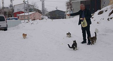 Yaklaşık 2 bin nüfuslu köyde kışın sadece bir aile yaşıyor