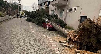Yalova'da fırtına hayatı olumsuz etkiliyor